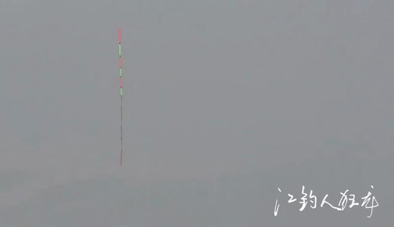 有口不中鱼浮漂动作,浮钓鲢鳙如何控制深度
