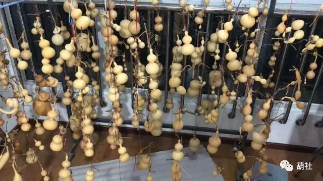 文玩葫芦能用橄榄油盘吗,文玩盘花了怎么办