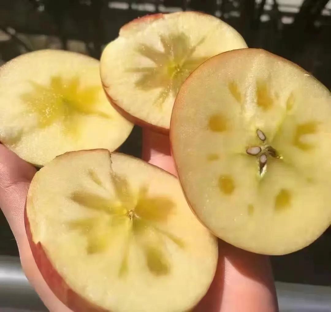 库尔勒香梨援疆产品,新疆库尔勒香梨特产一箱10斤