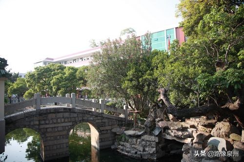 泉州晋光小学的片区,泉州第一梯队晋光小学