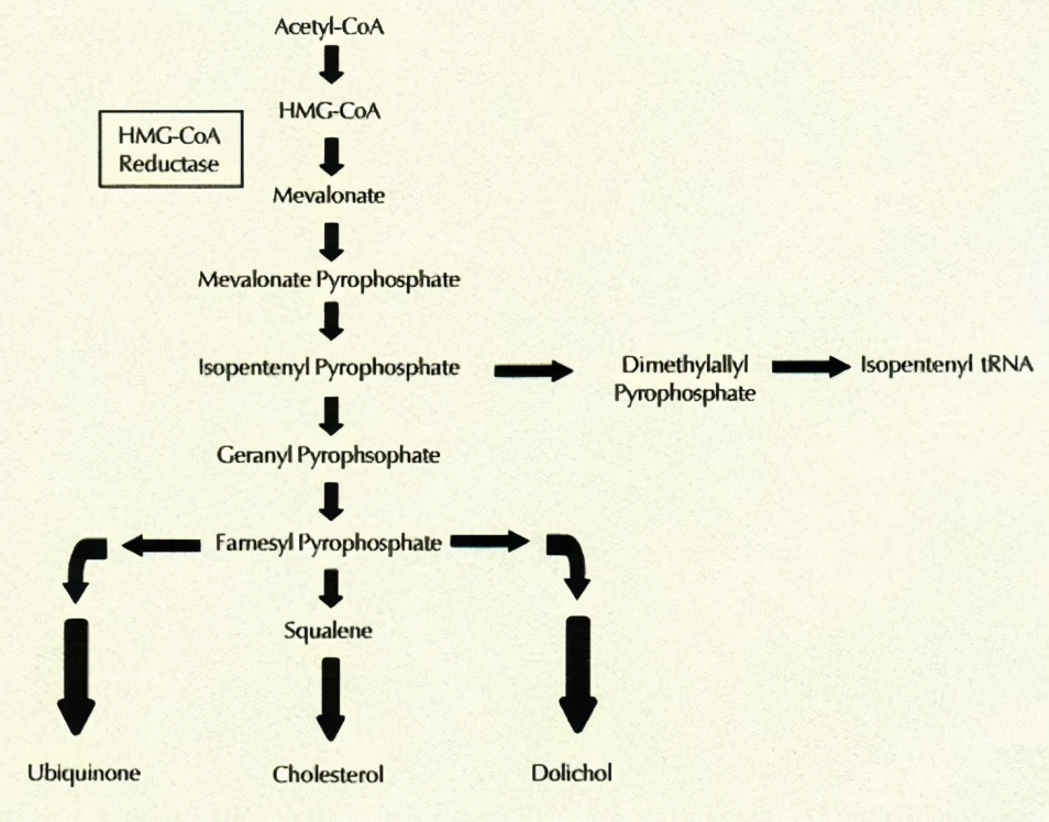 降胆固醇的药有没有副作用,降胆固醇的药常吃有坏处吗