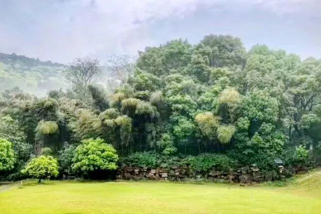 无锡好吃的又好看的餐厅推荐,舌尖上的无锡美食全集