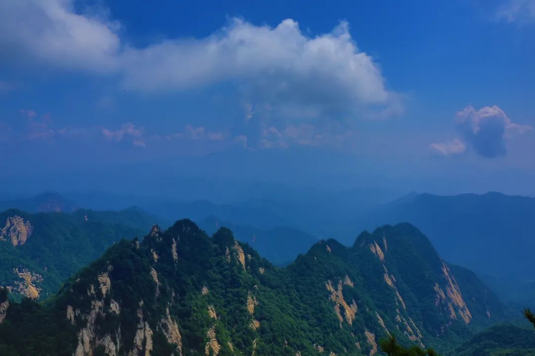 去河南旅游先去洛阳还是开封玩,河南洛阳旅行