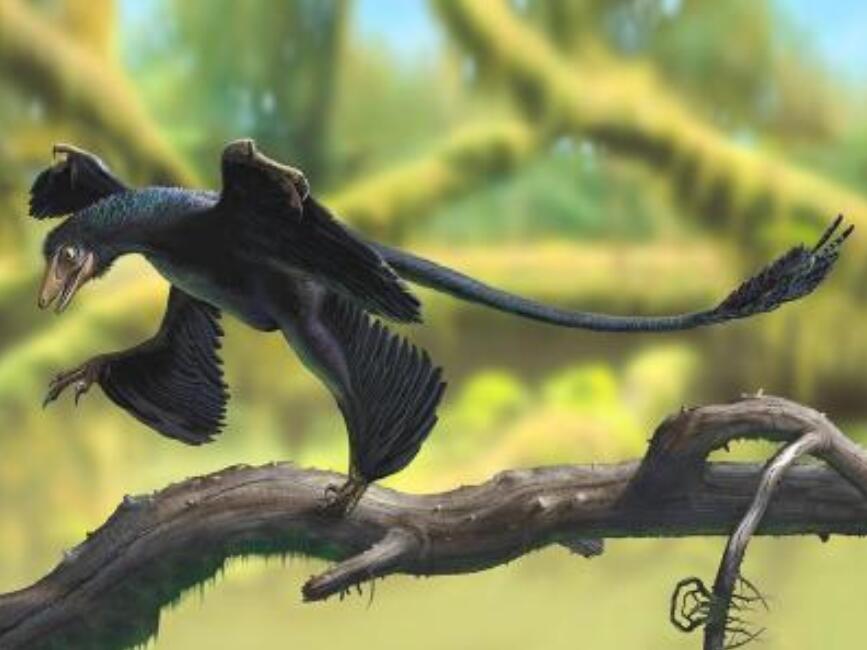 科学家发现史前恐龙生命强大,中国科学家已经复活恐龙了吗