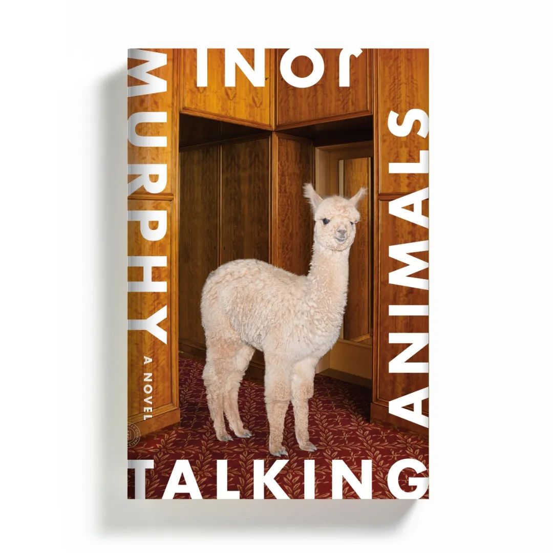 50张书本图片,图书故事书封面绘画