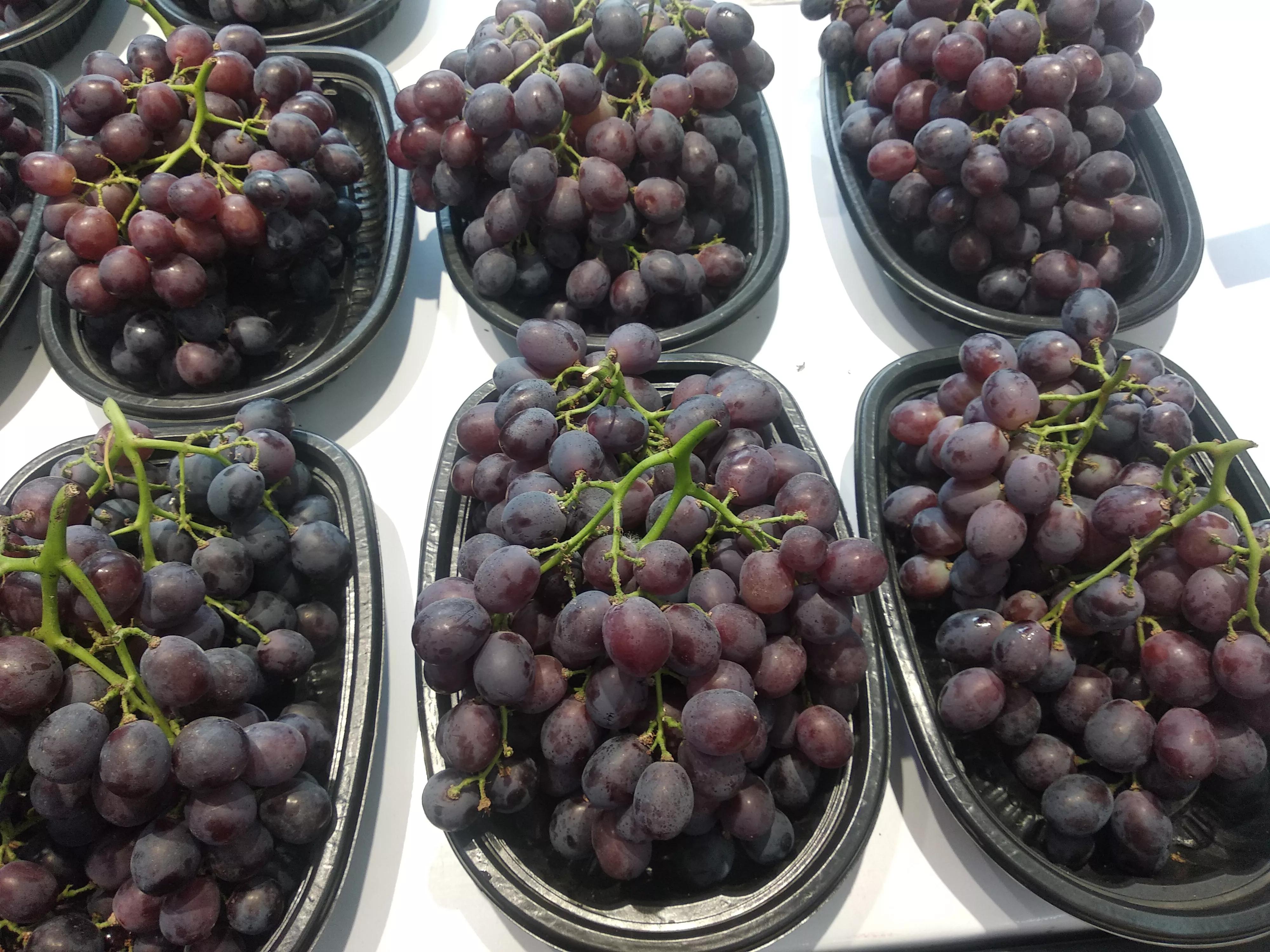 中秋节送礼提前送好还是推后送好,中秋节送礼有讲究