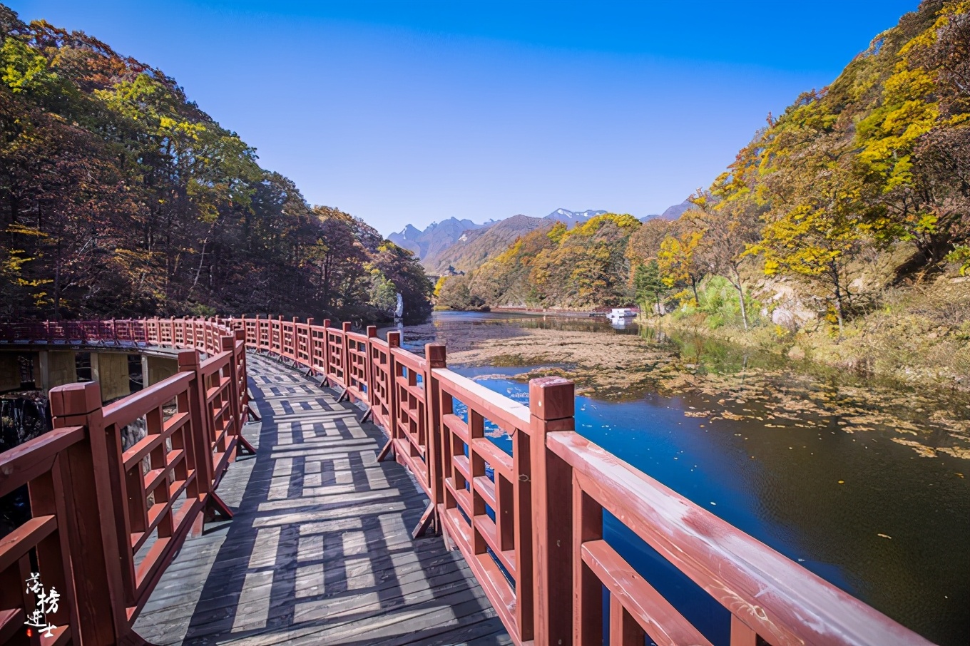 河南洛阳嵩县白云山都有哪些景观,河南洛阳嵩县的白云山风景名胜区