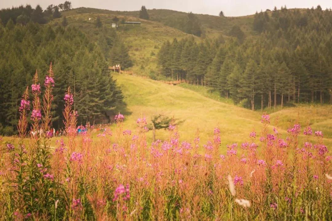 14浜夸汉鍏虫敞鍞愬北,鍗佸洓浜垮浗浜哄叧蹇冪殑闂