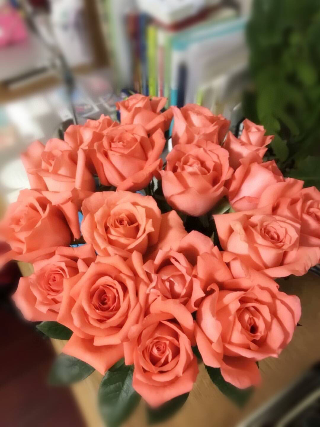 玫瑰可不止有红色的,玫瑰花有几种颜色几种名字