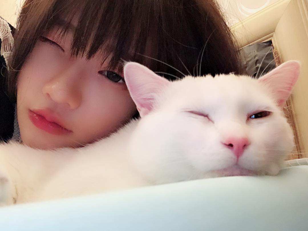 主力出货和主力减仓区别,主力出货还是洗盘k线分析