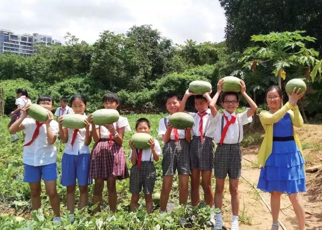 凤凰学校招生简章,凤凰学校招生公告