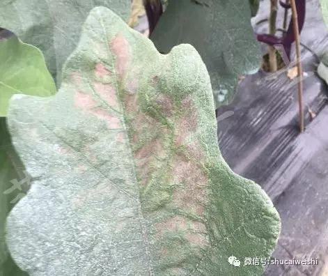 天气转凉的安全常识,强降温会引起药害吗