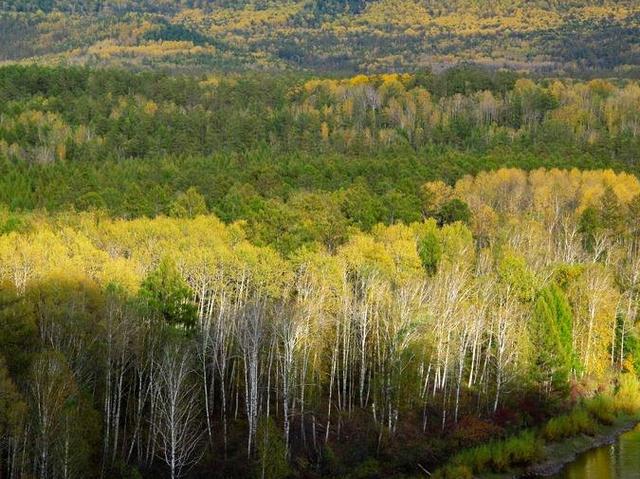 期货如何每日1万收益,期货日内盈利13万解读