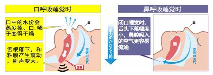 双十二种草日期,双十二种草有什么好处