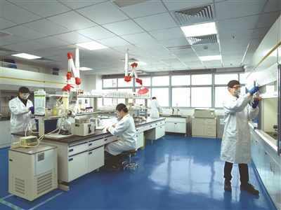佳化化学500强,佳化化学集团简介