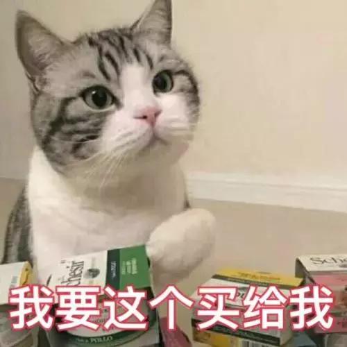 铲屎官常备的药,铲屎官该如何治疗和预防