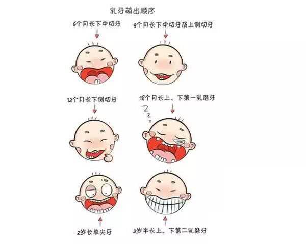 乳牙停留怎么缓解,乳牙停留了解一下