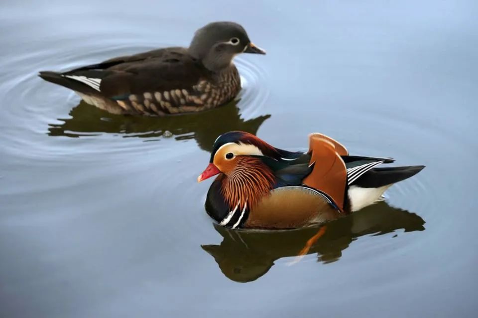 5.17遇见Ta在一起|这里有个不一样的脱单机会，速来~