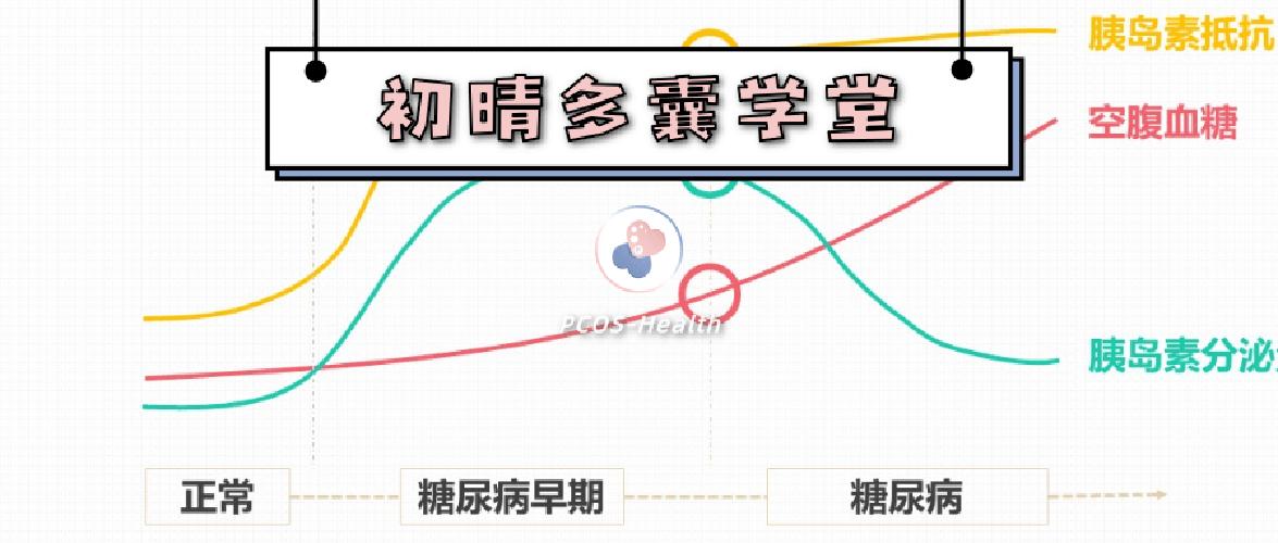 胰岛素抵抗恢复正常才能怀孕吗,为什么胰岛素抵抗瘦了就正常了