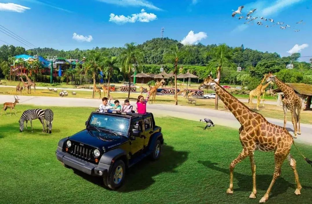 春节广州长隆野生动物世界攻略,广州长隆野生动物世界旅游攻略