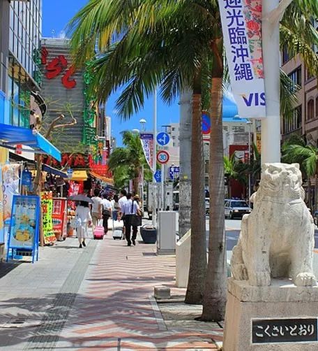 这个冬天来威海玩雪吧,冲绳出海看鲸鱼的季节