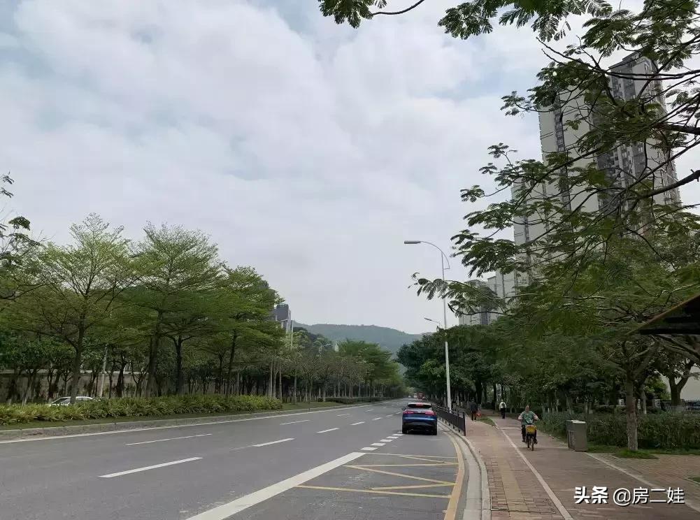 黄埔科学城哪个楼盘的学校好,黄埔科学城楼盘区位图