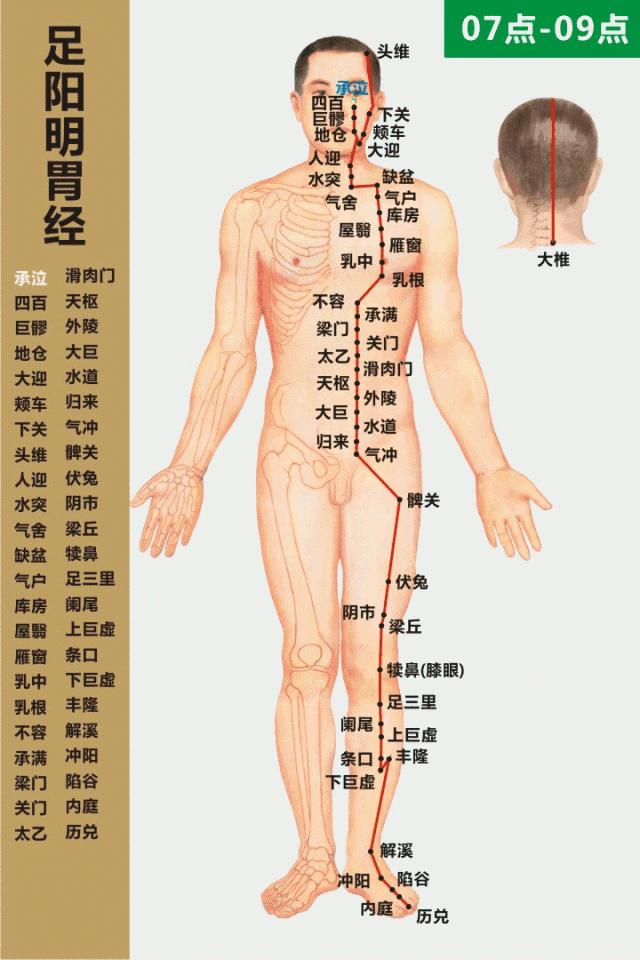 最全经络高清动图所有穴位,最全经络高清动图