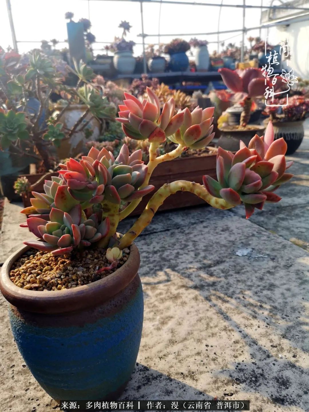 风过留痕讲的啥,风过留痕朗诵