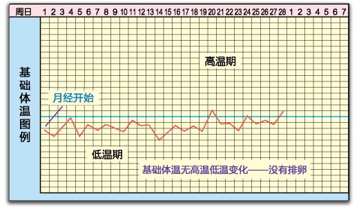 怎么判断自己是否怀孕,怎样判断仓鼠是否怀孕