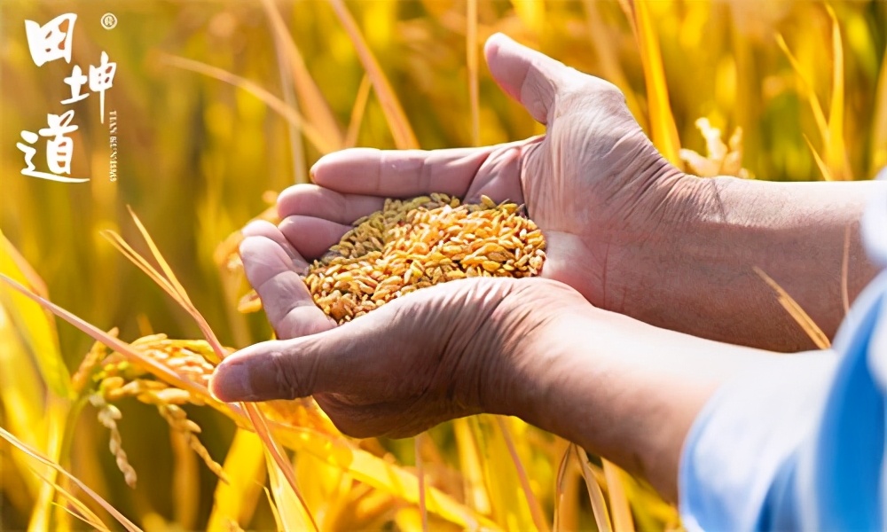 粮油加盟十大品牌有哪些,粮油加盟进货