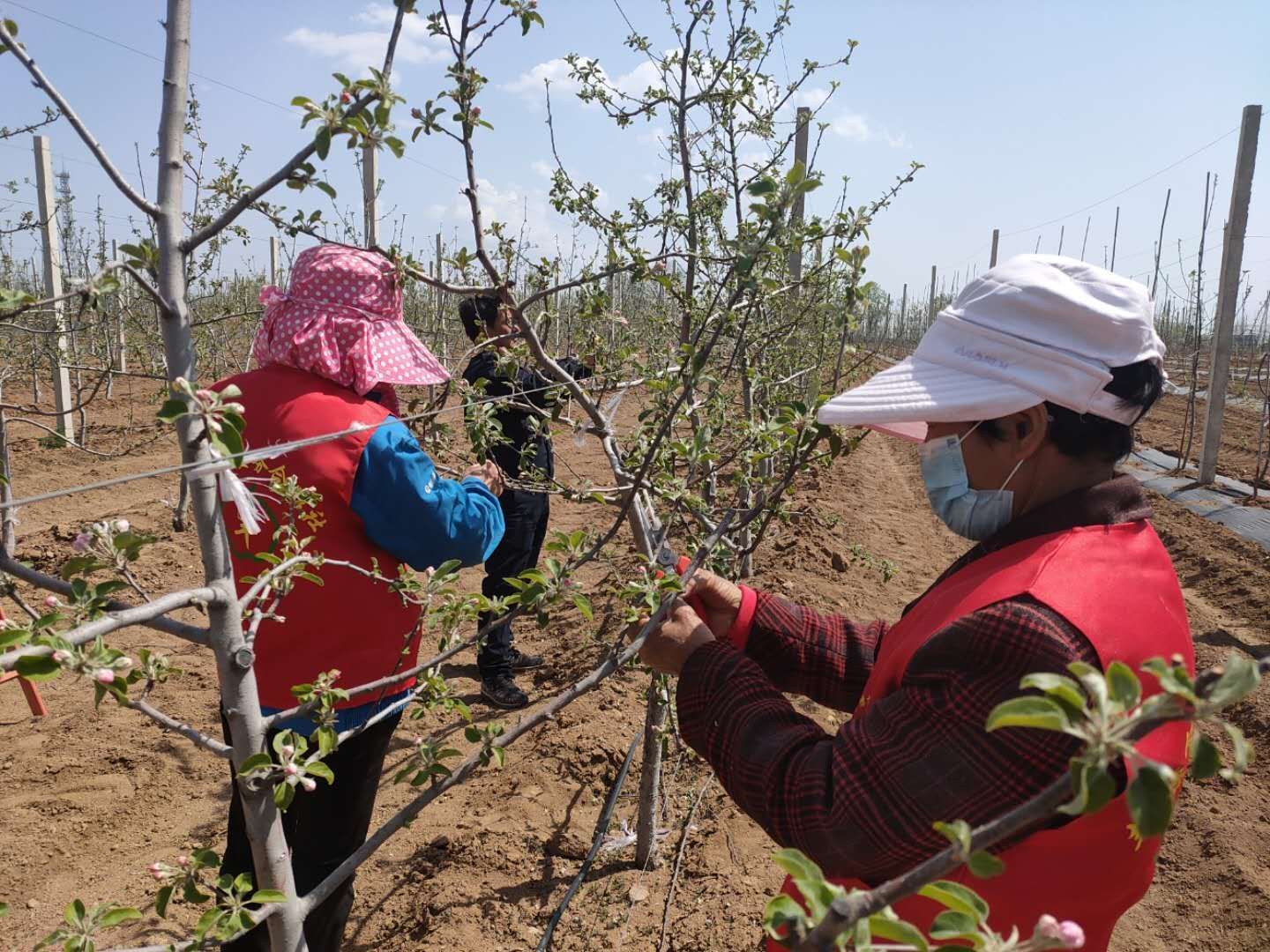麟游县产业扶贫,麟游县的发展前景