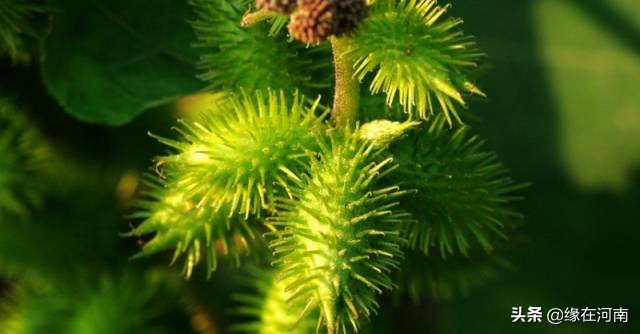 8090后小时候一定干过的事,80后90后小时候绝对干过的傻事