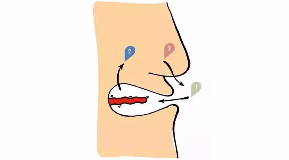 启智说说|“人人都该知道的葡萄酒基础知识”分享