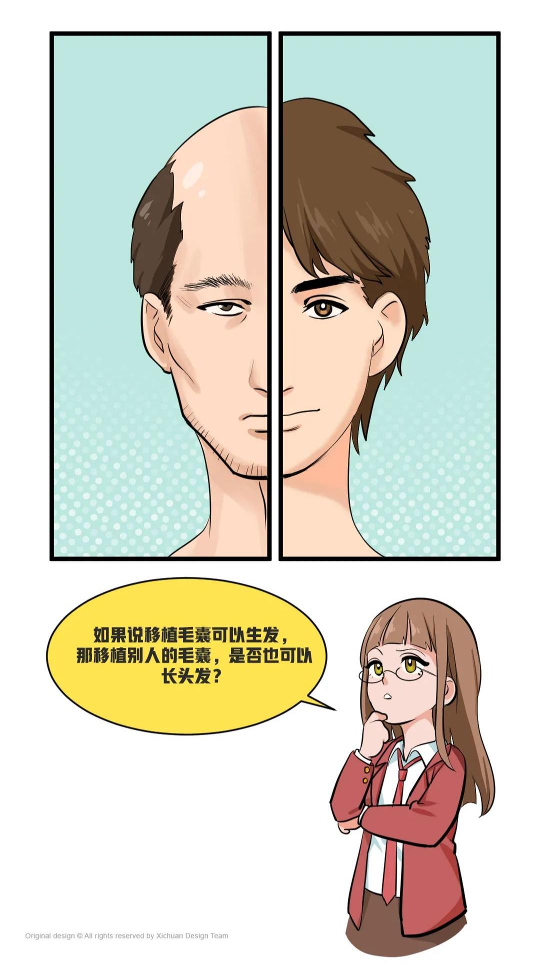 腿毛植发效果好的国家,腿毛植发会掉吗