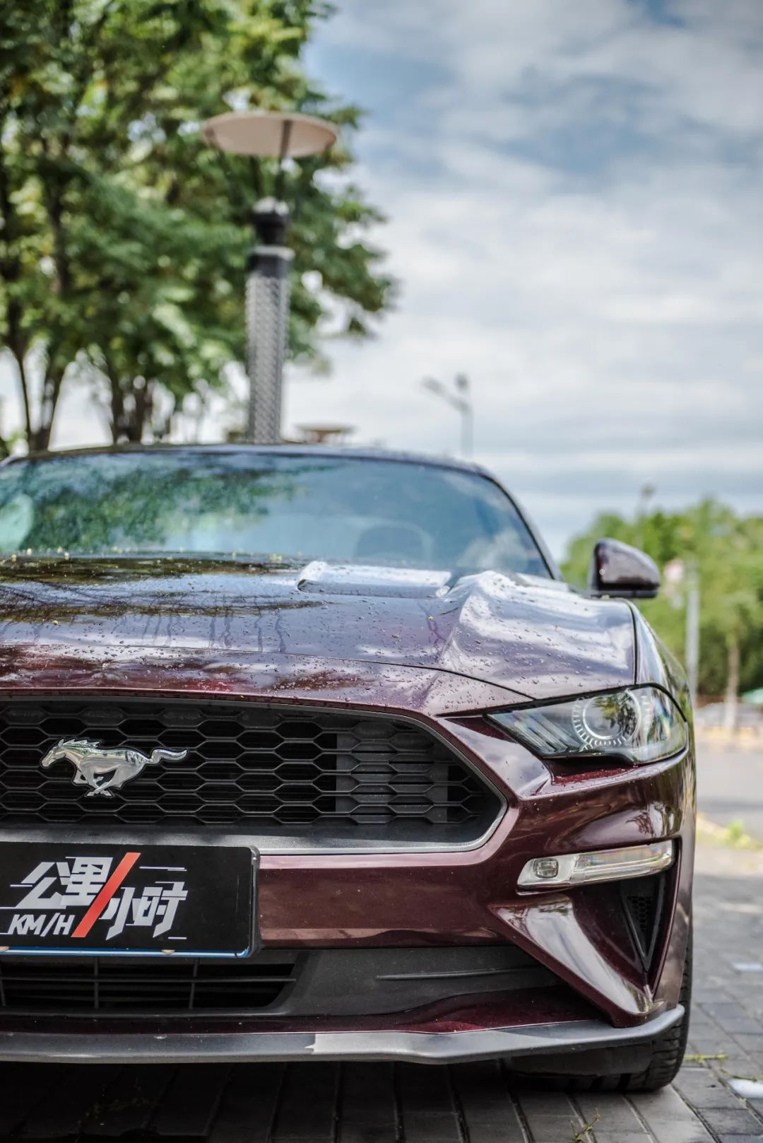 野马2.3t被叫野驴,野马2.3t小野驴