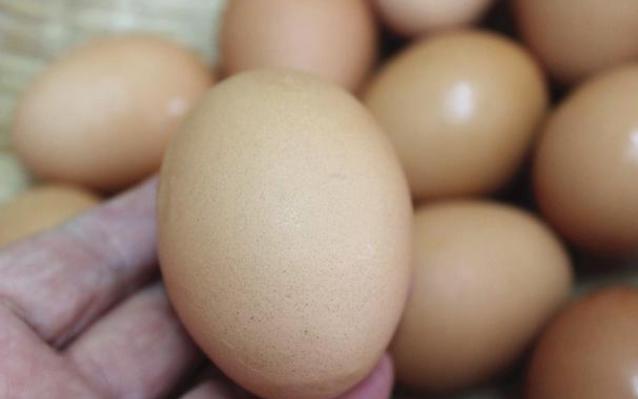 有小黑点的蛋是什么蛋,有斑点的鸡蛋到底能吃吗