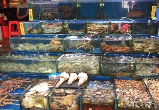 刺身的选择冰冻的还是冰鲜的,刺身怎么解冻比较好吃