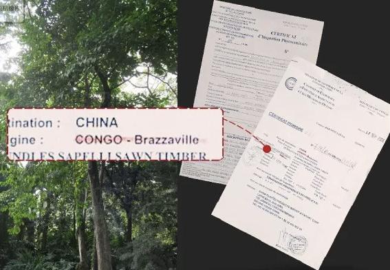 小米硬刚德国双立人，400年非洲灌木做家用砧板，不发霉砍不坏