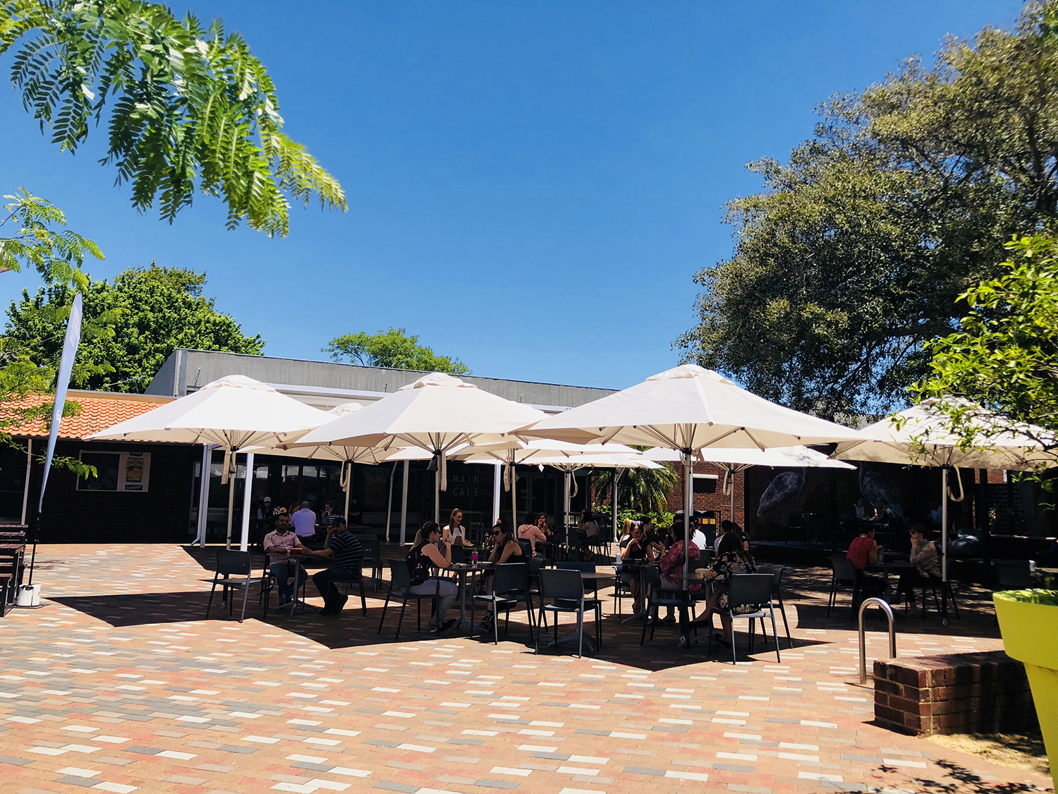 科廷大学的挂科率,科廷大学学习氛围好吗