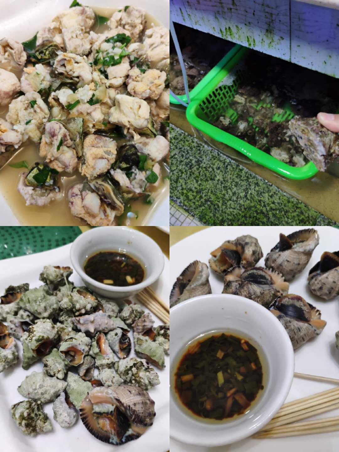 汕尾自驾游红海湾看日出,汕尾红树湾一日游攻略