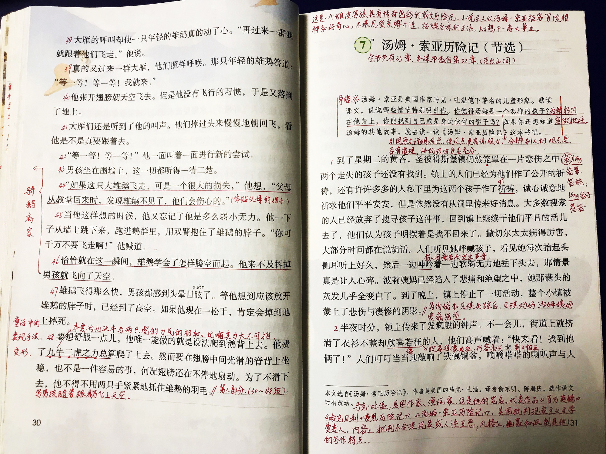 小升初语文标点符号训练题及答案,小学语文标点符号讲解小升初