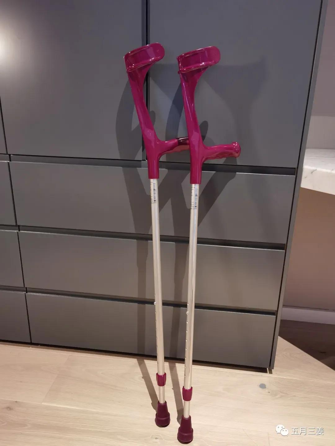 国外被狗咬了打狂犬疫苗吗知乎,外国被狗咬为啥不给打狂犬疫苗