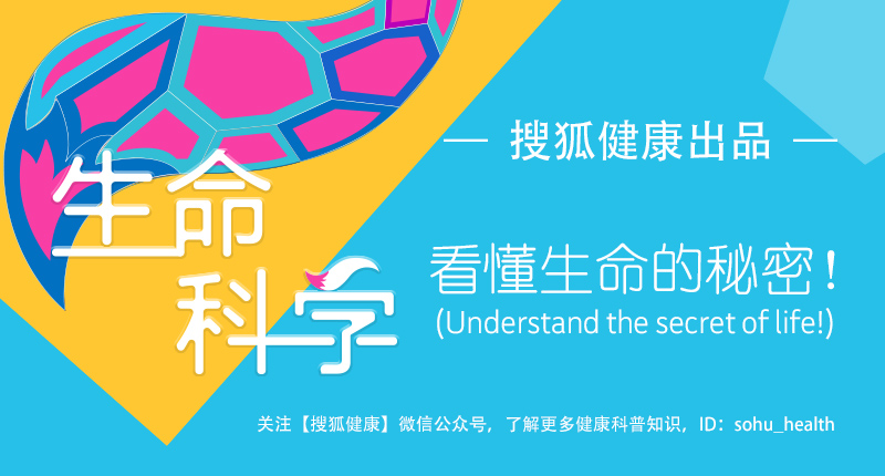 新西兰专家：路边的地衣不壮阳，别再被这些网红产品忽悠了