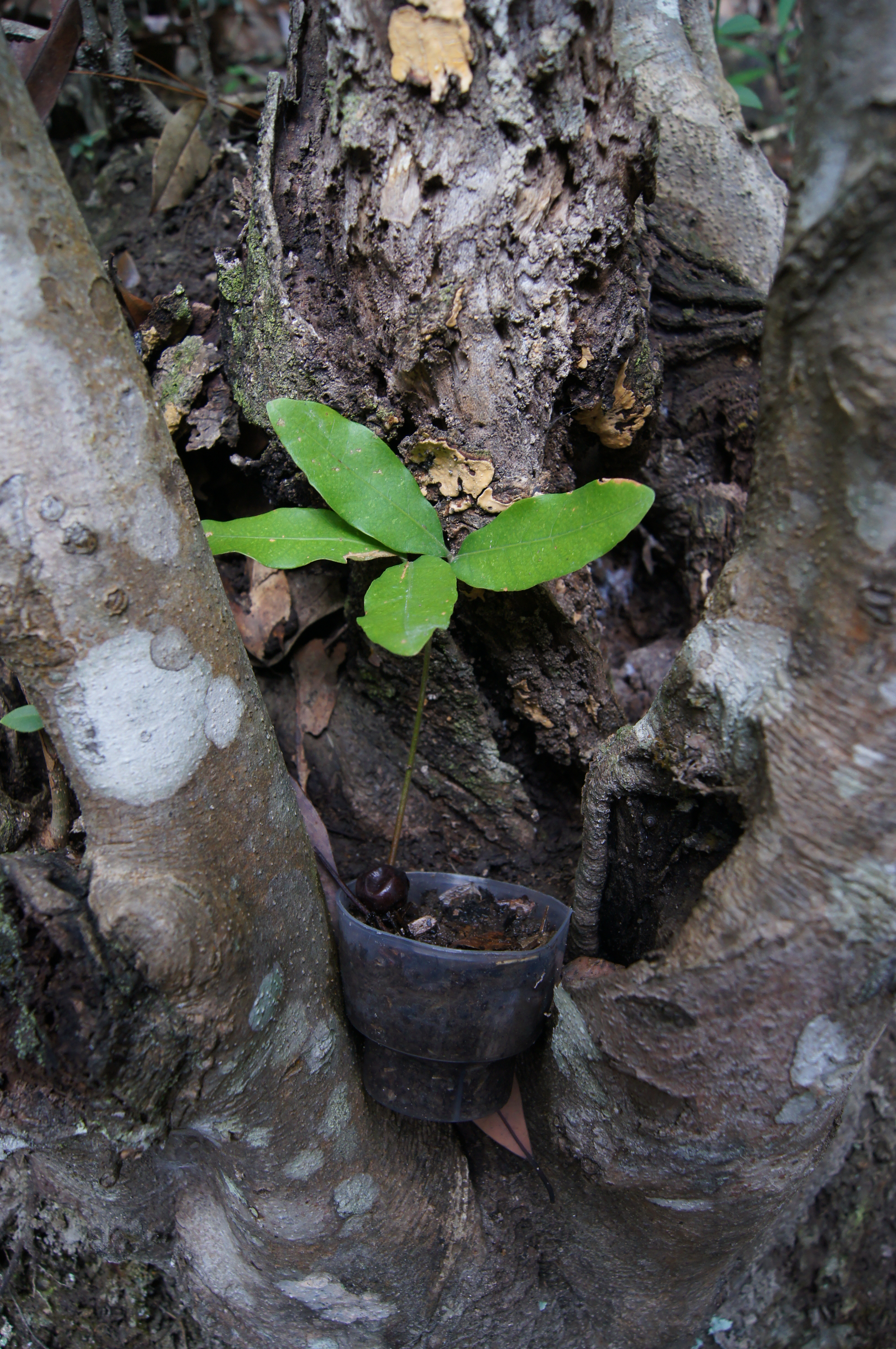 永泰百漈沟瀑布航拍,永泰百漈沟瀑布群