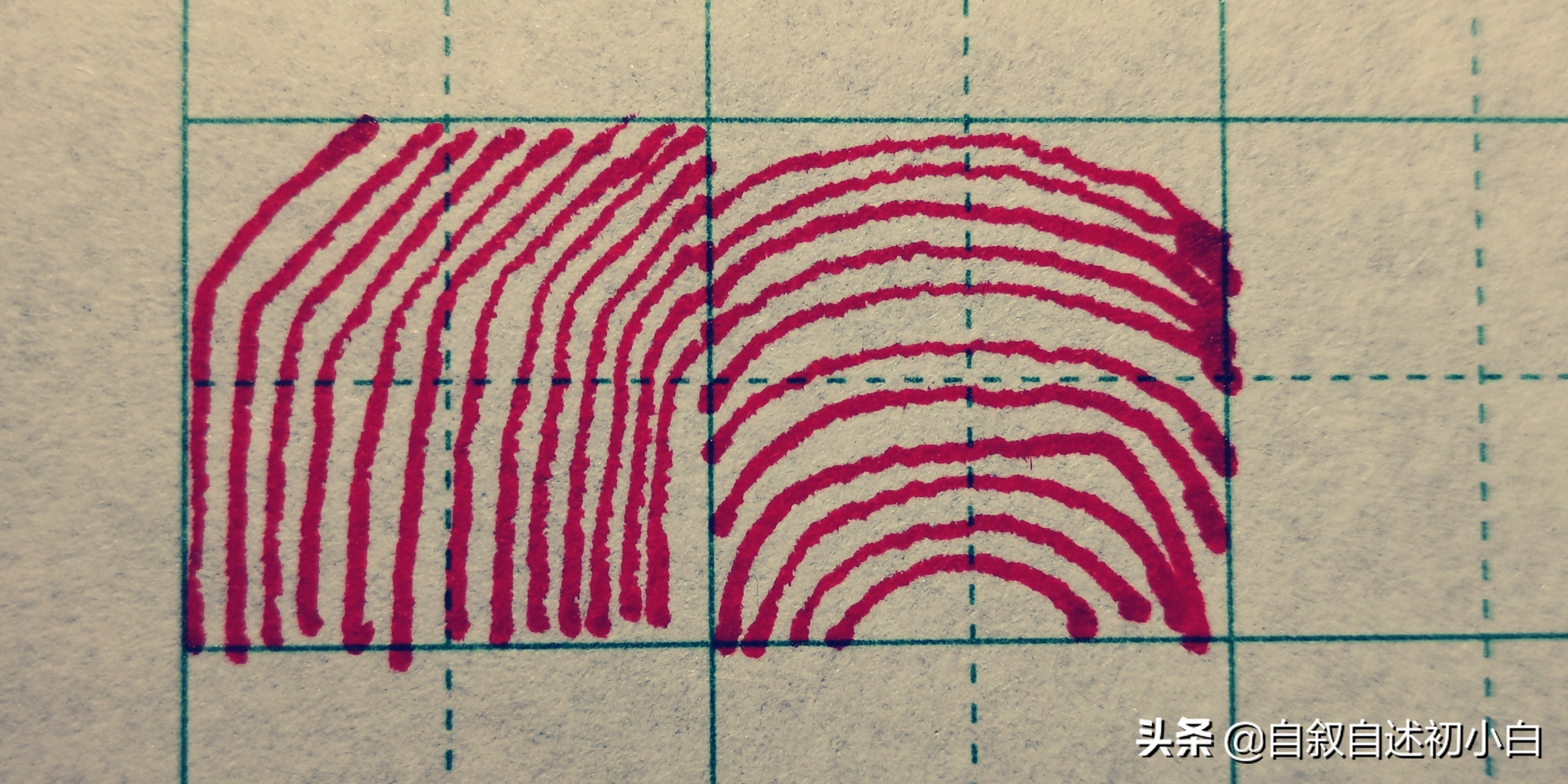 零基础练字技巧一年级,新手零基础练字先练什么