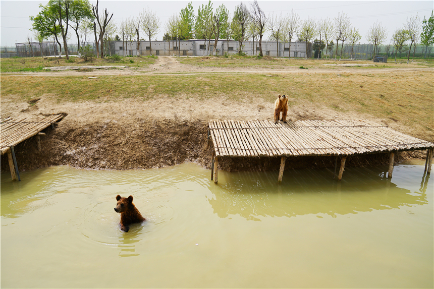 我和宿州有个约会，一场花事，一次慢旅行，探寻最烟火的宿州味道