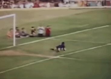 英女王下令封杀50年！王室私生活*片禁**遭泄露，百万人在线吃瓜