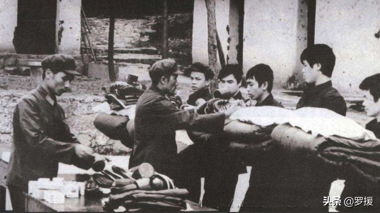 女兵亲历越南战役,女兵亲历反击战