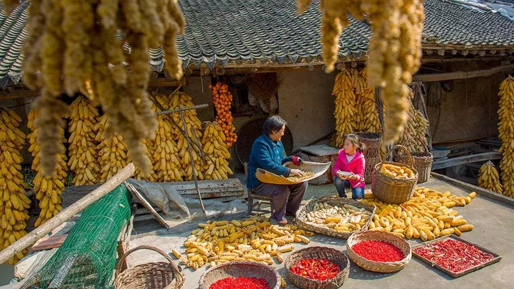 来迟了作品,来迟了歌曲完整版