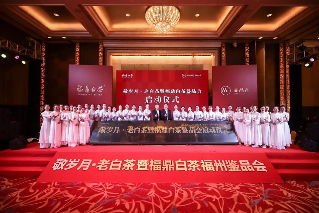 福鼎老白茶白牡丹正宗明前,老白茶白毫银针白牡丹